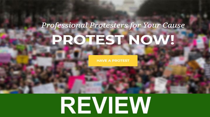 Protestjobs Com Real [May] Is this a Reliable Site?