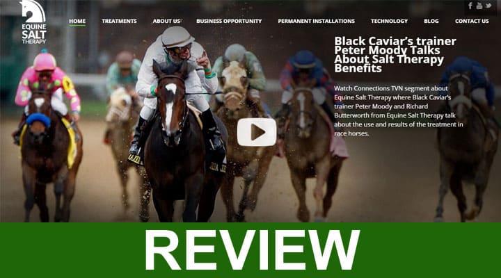 Equine Salt Therapy Review (July 2020) Get Information!