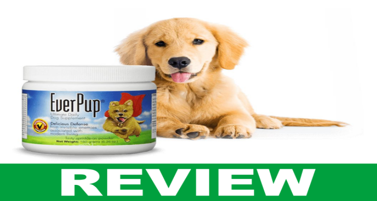 Everpup Reviews [July 2020] Is it a Scam or Legit?