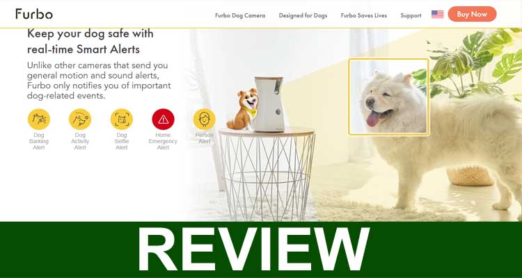 Furbo Reviews (Oct 2020) – Taking Care Of Your Pet!