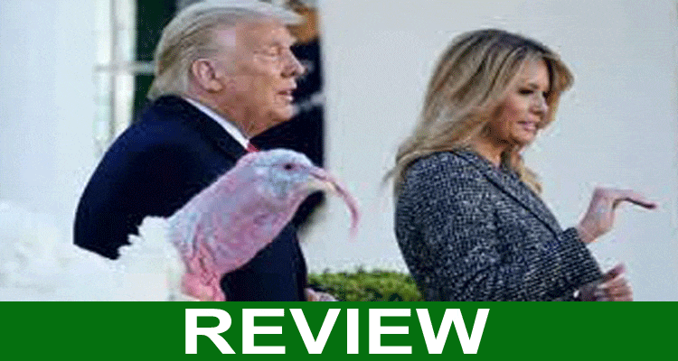 Donaldjtrump2024-com-Review