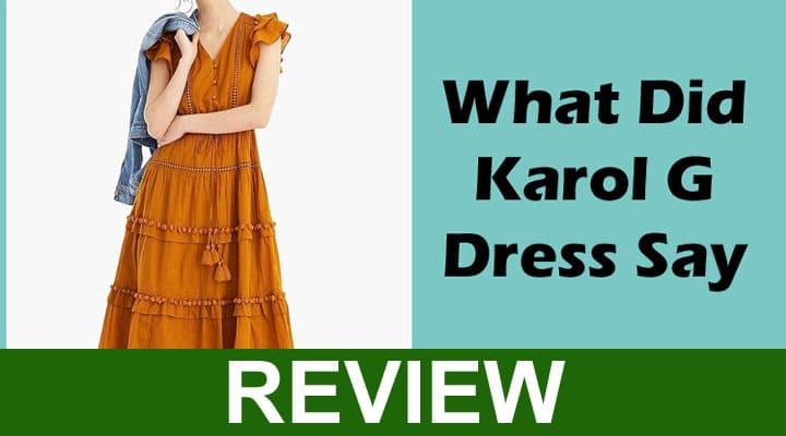 Karol G Latin Grammys Dress (Nov) Read to Discover More.