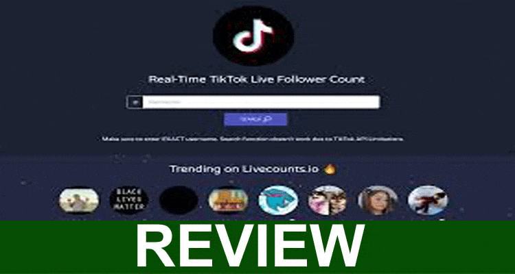 Tiktok Counter in Realtime .com (Nov 2020) Keep Counting!