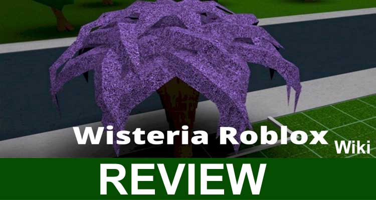 Wisteria Roblox Wiki (Jan 2021) – Some More Information!