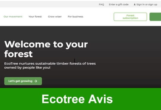 Ecotree Avis 2020