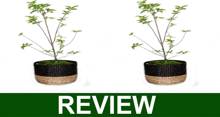 Plantogram Reviews [Dec] Does it have Legitimacy?