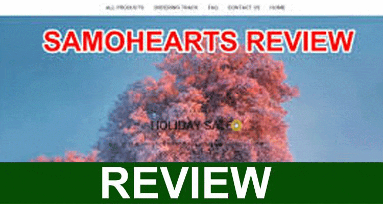 Samohearts Reviews (Jan 2021) Legit Or Scam?