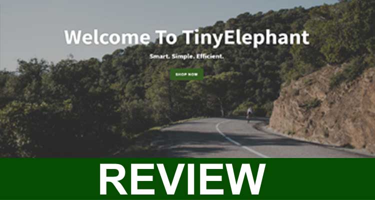 Tiny Elephant Baby Lounger Reviews {Dec} Is It Legit?