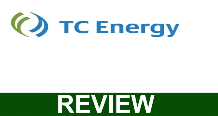 Who Owns TC Energy Review