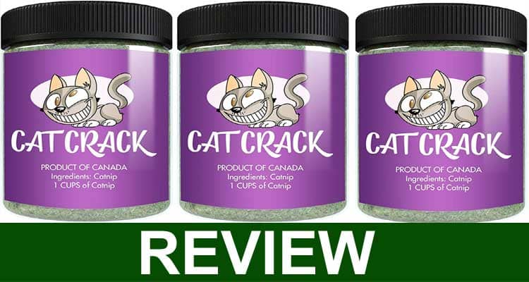 Cat Crack Reviews {Jan 2021} Is It Safe Product Or Not!