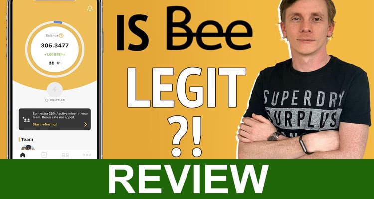 Is Bee Network a Scam (Jan 2021) Reviews for Clarity