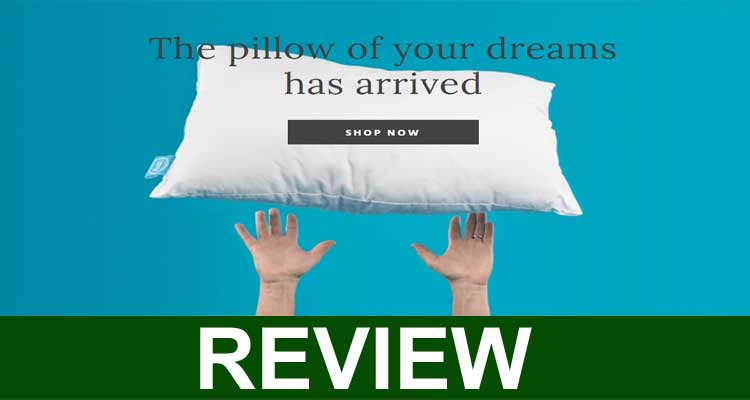 One Fresh Pillow Reviews {Jan 2021} Is It Legit Website?