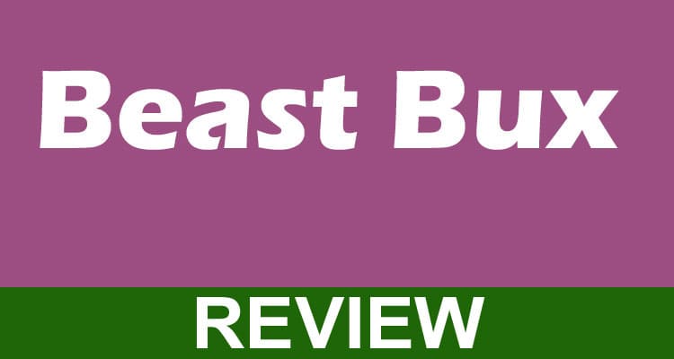 Beast Bux 2021