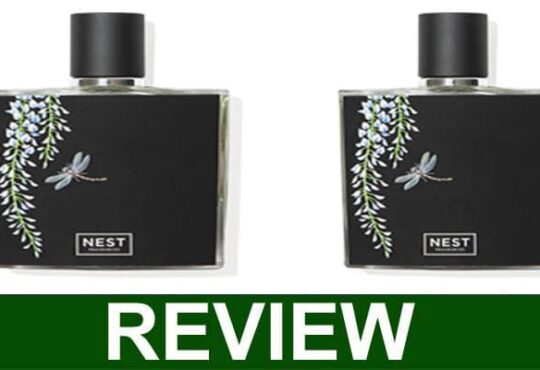 Nest Wisteria Blue Perfume Review 2021
