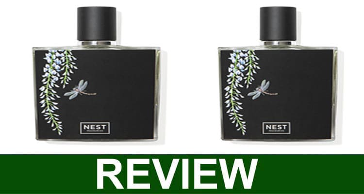 Nest Wisteria Blue Perfume Reviews [Feb] Is It Legit?