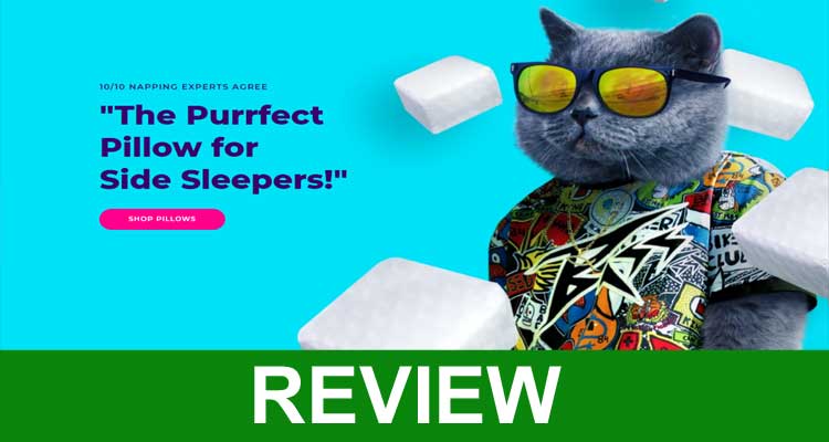 Pillow Cube Reviews {Feb 2021} Buy After Reading It!