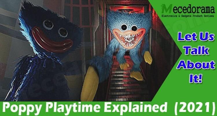Poppy Playtime Explained (Oct) Horror/Puzzle Adventure!