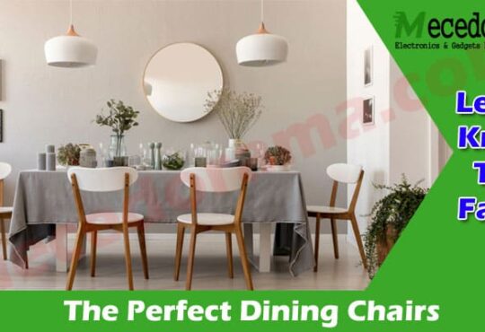 Latest News Perfect Dining Chairs