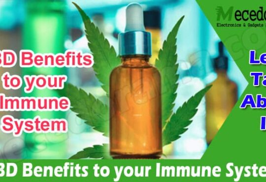 Complete Guide to CBD Benefits to your Immune System