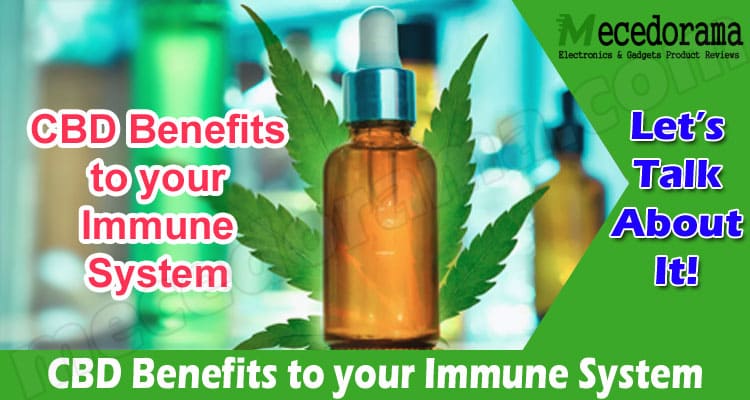 What are the CBD Benefits to your Immune System?