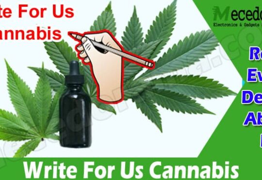 Latest News Write For Us Cannabis