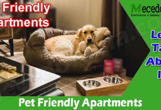 Complete Information Pet Friendly Apartments