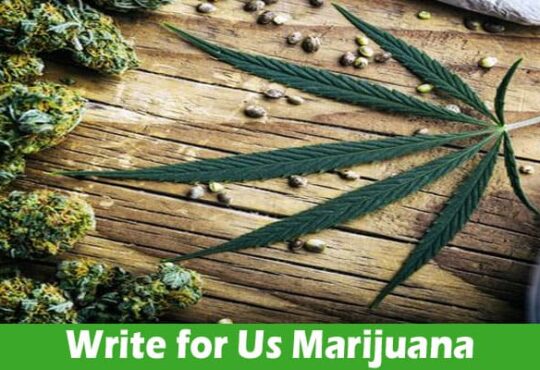 About General Information Write for Us Marijuana