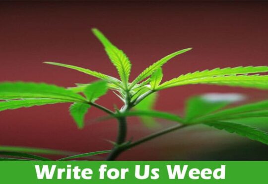 About General Information Write for Us Weed