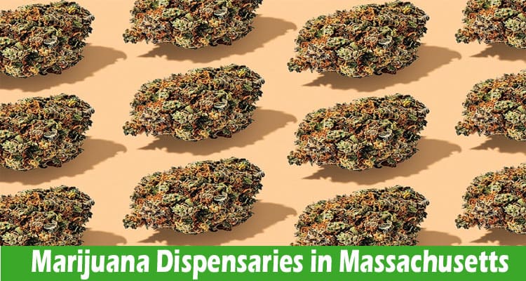 How to Find Quality Marijuana Dispensaries in Massachusetts