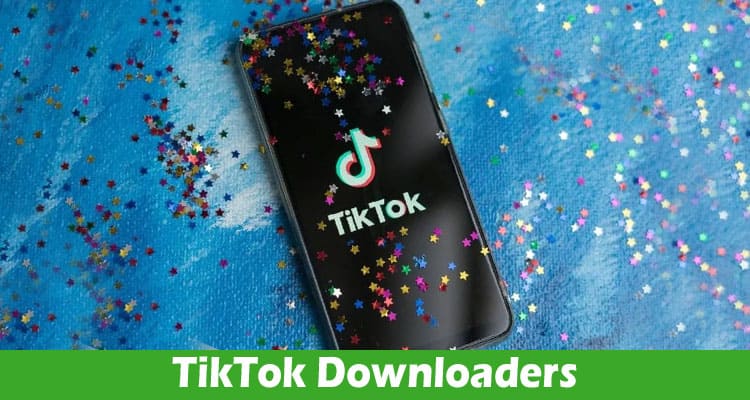 Everything You Need to Know About TikTok Downloaders