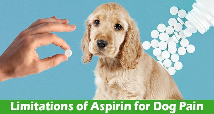The Limitations of Aspirin for Dog Pain: Why CBD Emerges as a Superior Alternative