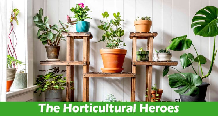 The Horticultural Heroes Top Indoor Plants for Your Dwelling