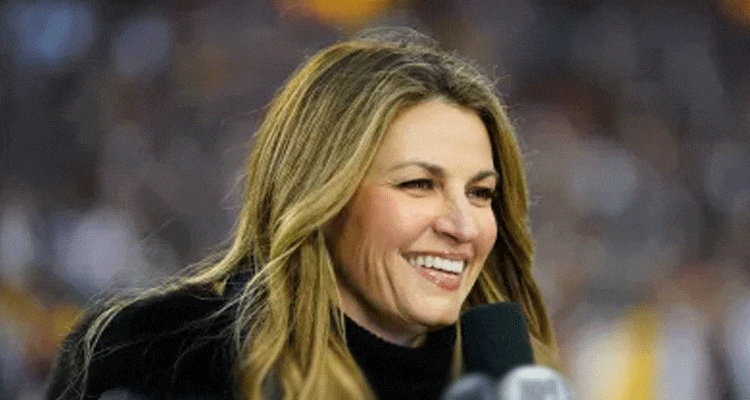 Erin Andrews’s Net Worth 2024: Revealing Erin Andrews’ Compensation and The amount Is His Value?