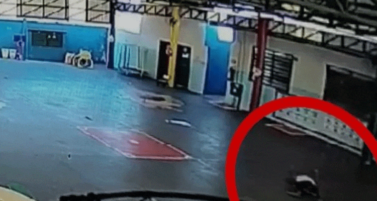 Boy Falling Off the Court at School Original Video